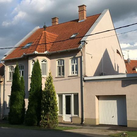 Zoli Apartmanok-Zoli Koelcsey 19 Villa Hajdúszoboszló 外观 照片